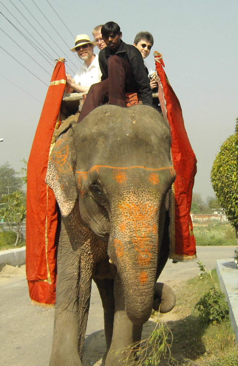 IndienElefant 03 07