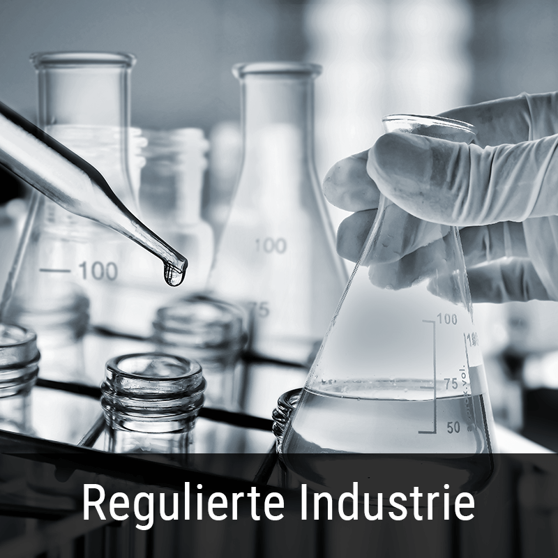 Teaser Regulierte Industrie